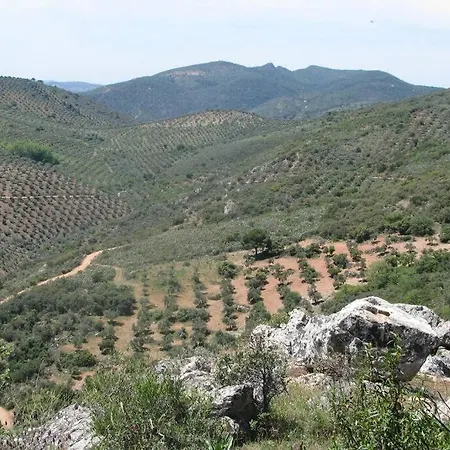 Holiday home Cortijo 