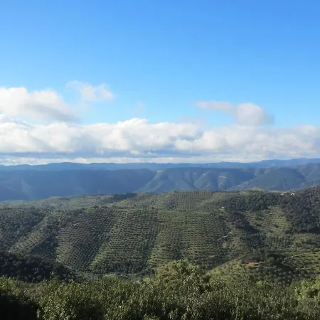 Cortijo 