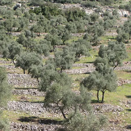 Cortijo 