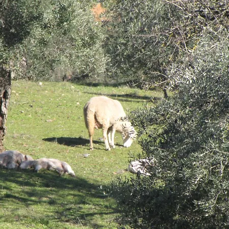 Cortijo 