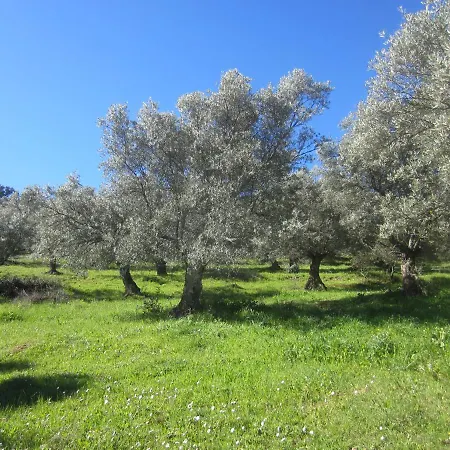 Cortijo 