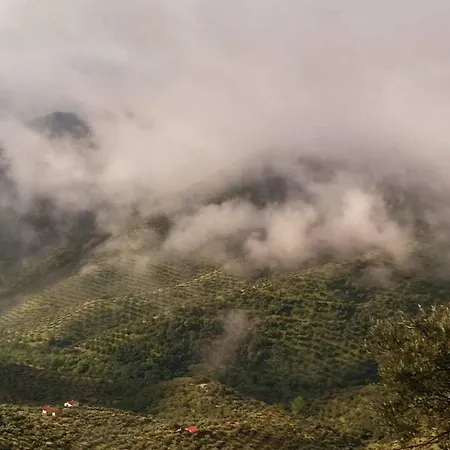 Cortijo 