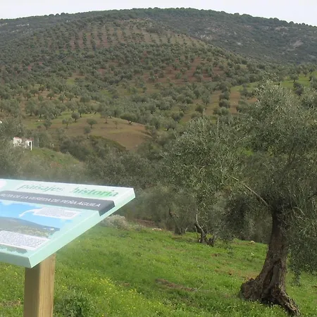 Holiday home Cortijo 